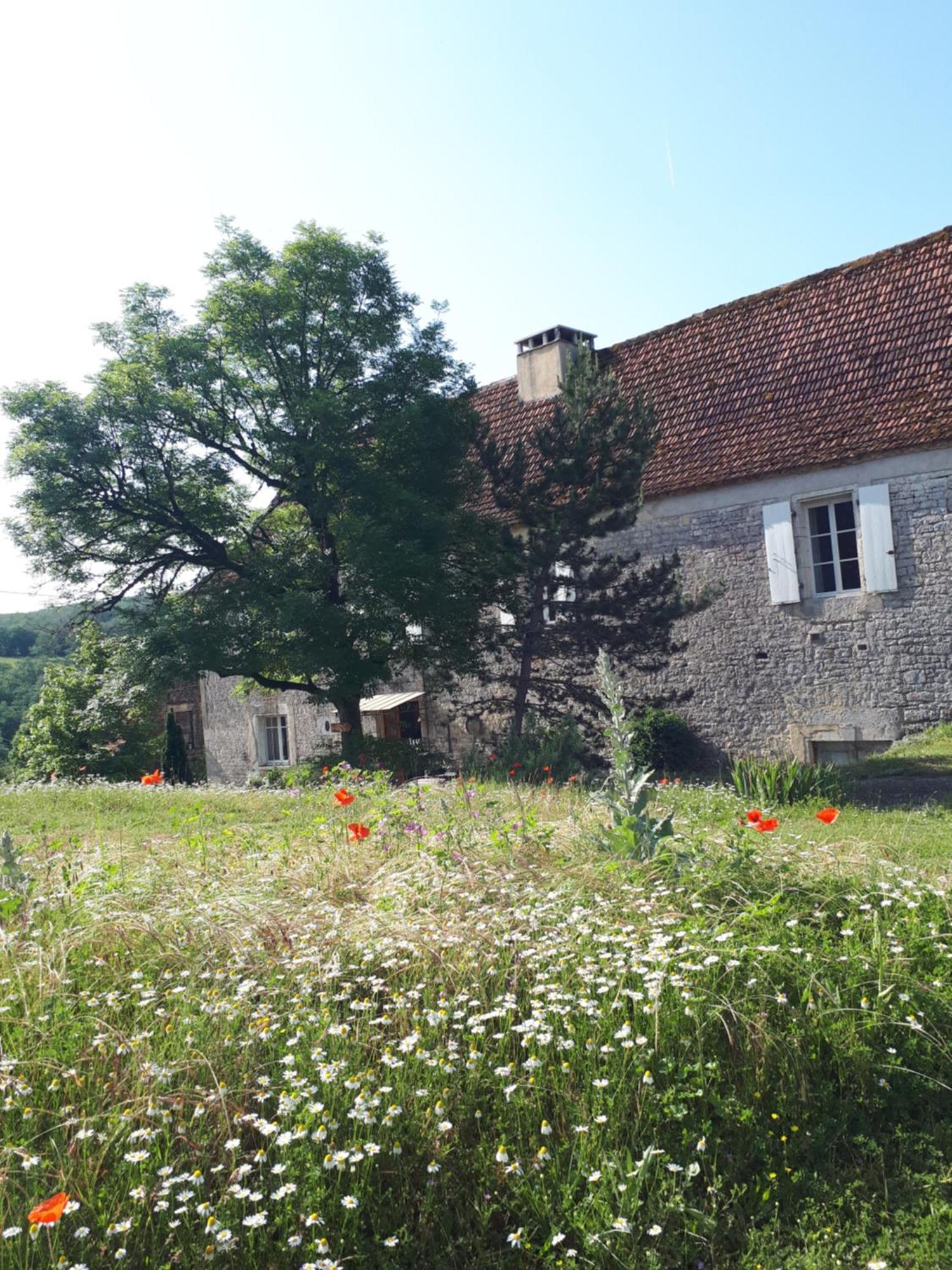 La Ferme De Roquedure Hotel Montfaucon  Exterior photo